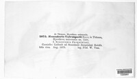 Image Associated With the Occurrence